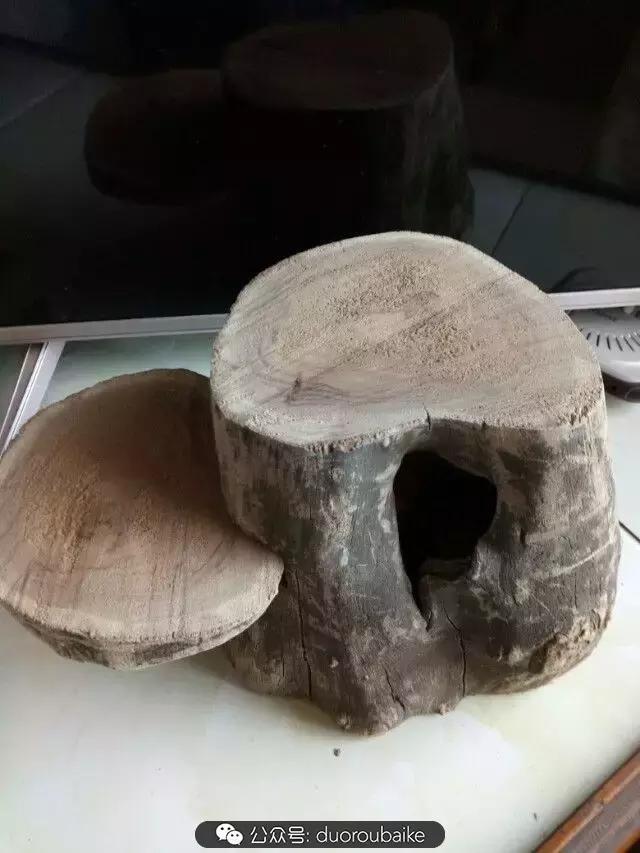 用多肉做花的方法,多肉植物自制方法