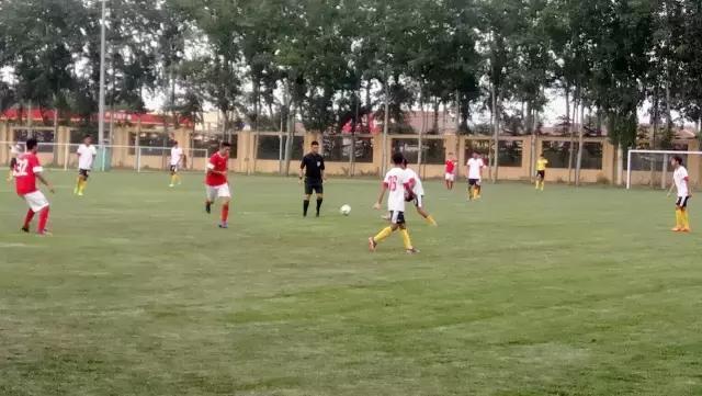 灞变笢椴佽兘娉板北vs闈掑矝涓兘2021,2013璧涘闈掑矝涓兘vs灞变笢椴佽兘鎵撴灦