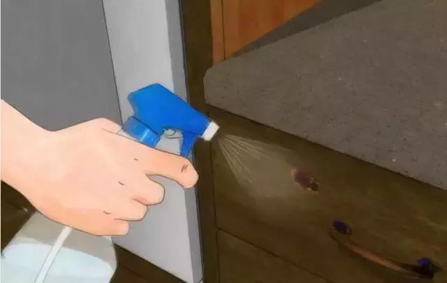 敌敌畏灭蟑螂最佳方法,快速灭蟑螂的6大方法