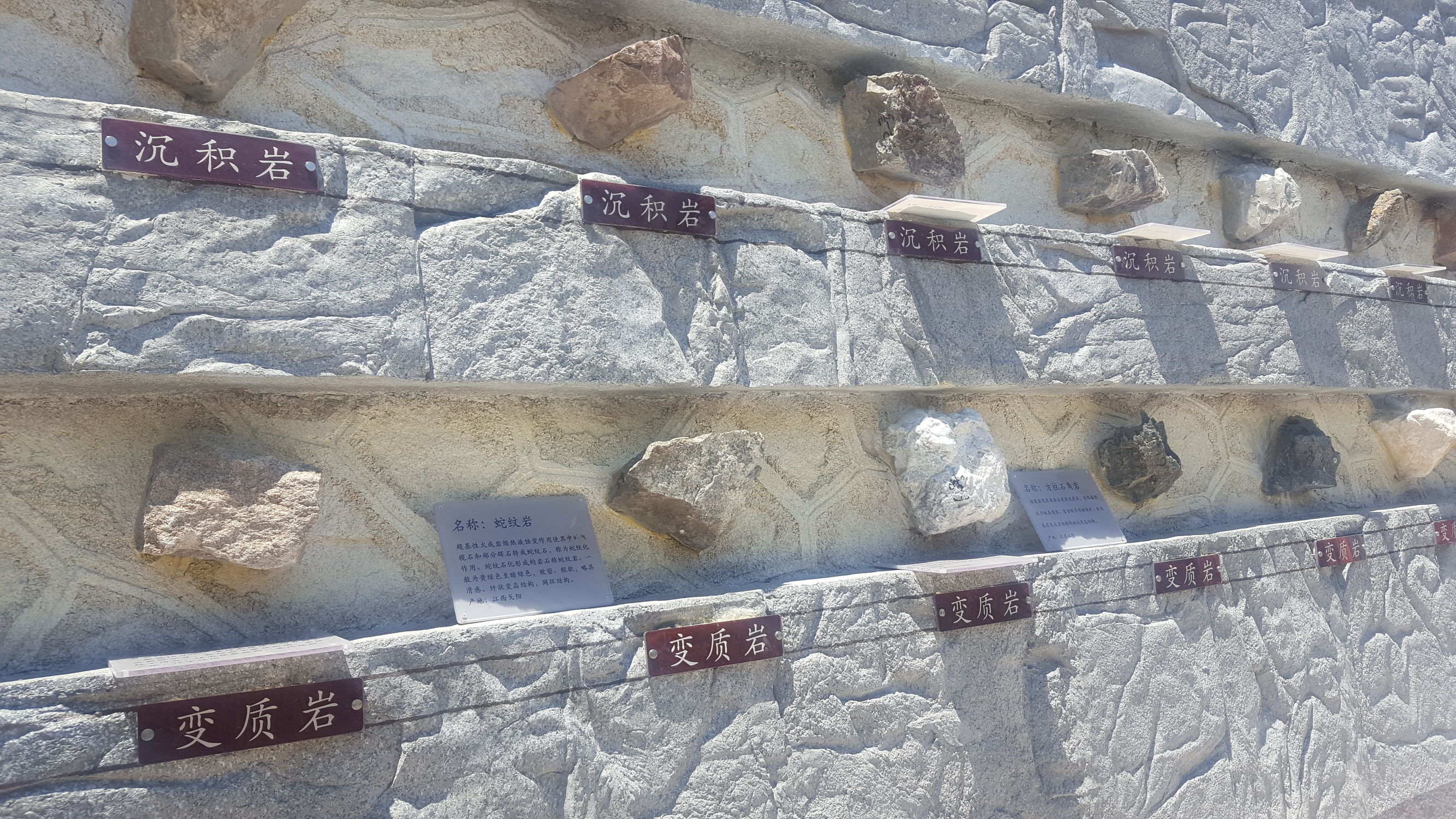 加强高等职业院校学生的技能培训,高等职业教育实训基地