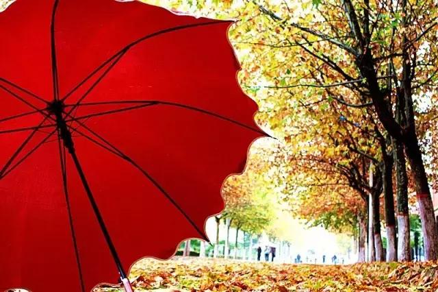 中国航天五零四所介绍,中国航天五零四研究所