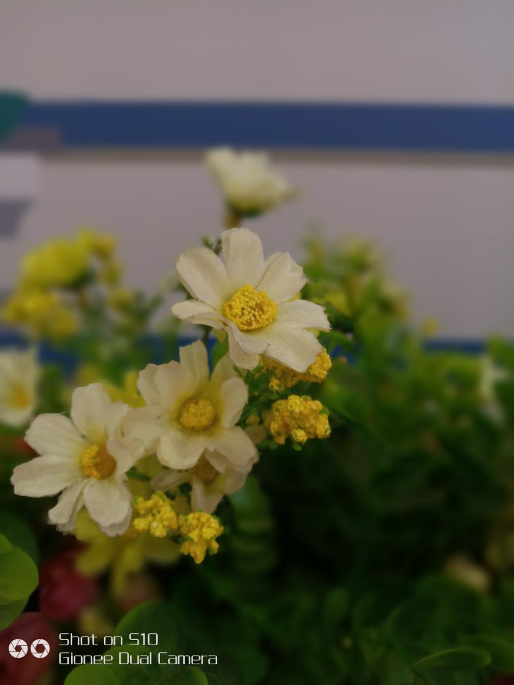 金立s10广告薛之谦四摄,金立S10手机性能怎么样