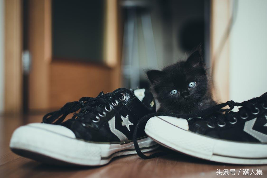 忽然发现有了很多秘密,突然发现了一个秘密