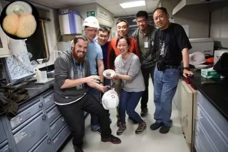 古生物学家发现化石,古生物学家探索古墓