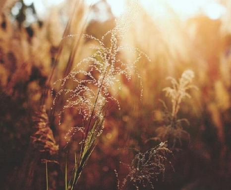 适合发朋友圈的短句经典语录,十大适合发朋友圈的经典句子