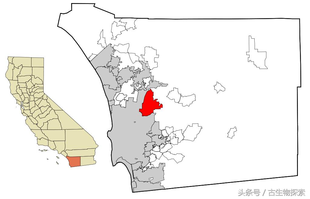 世界上最小的哺乳动物是什么,最小的哺乳生物