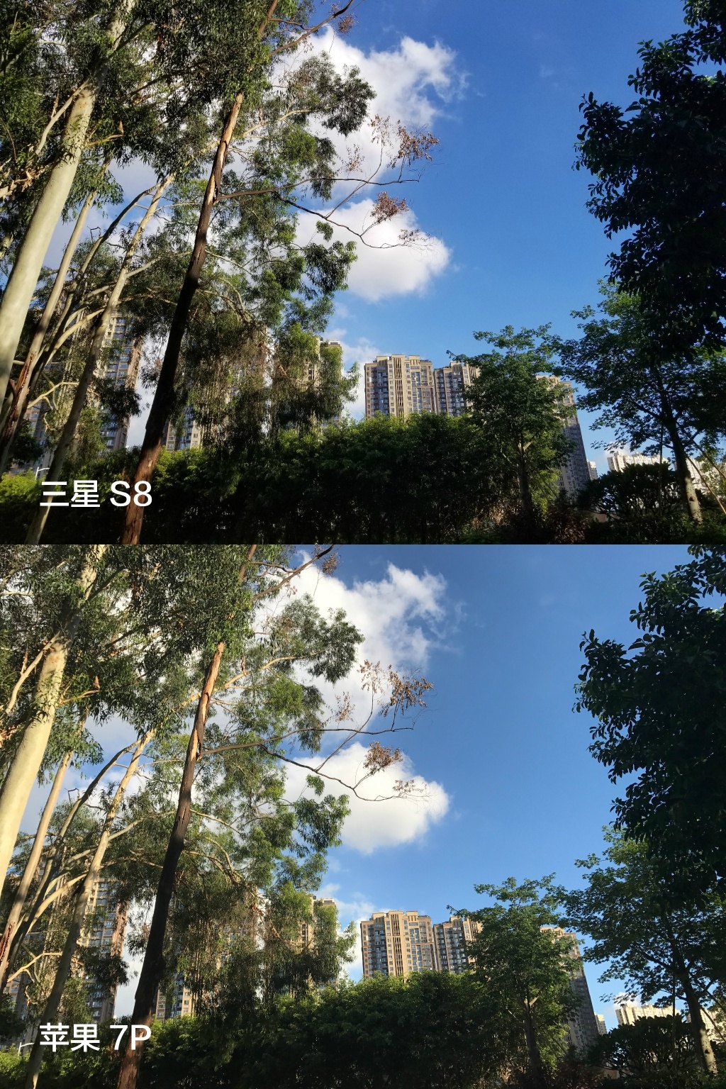 三星盖乐世S8怎么全屏,三星盖乐世s8现在值多少钱