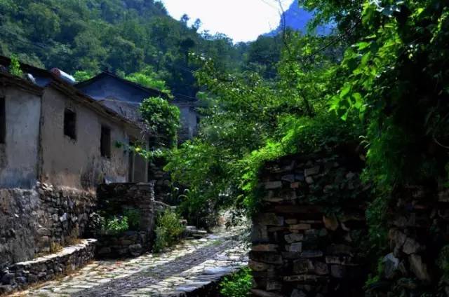 不服不行乐视,不服不行山西