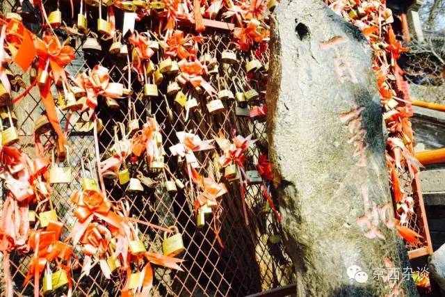 不服不行想办法,不服不行乐视