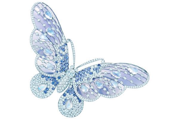 月光石海珍珠,月光石解读