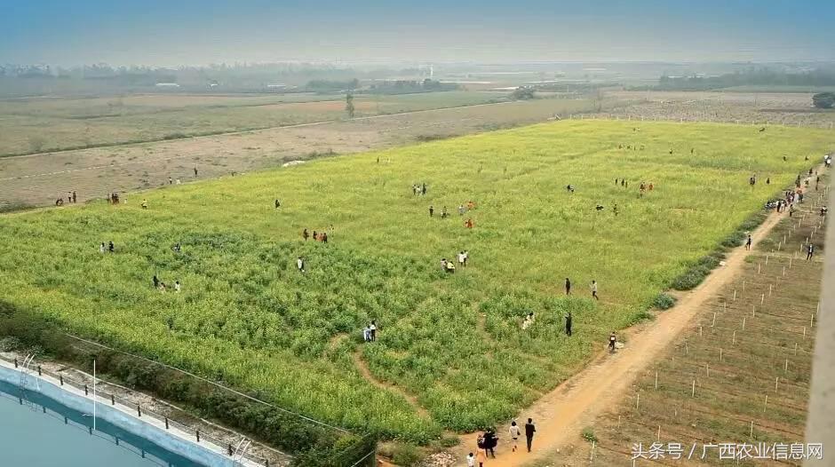 广西苏式园林,合浦周边园林