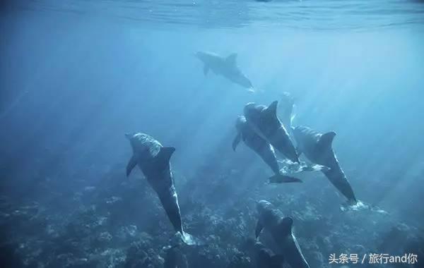 世界最适合举行婚礼的海岛,世界第一海岛婚礼