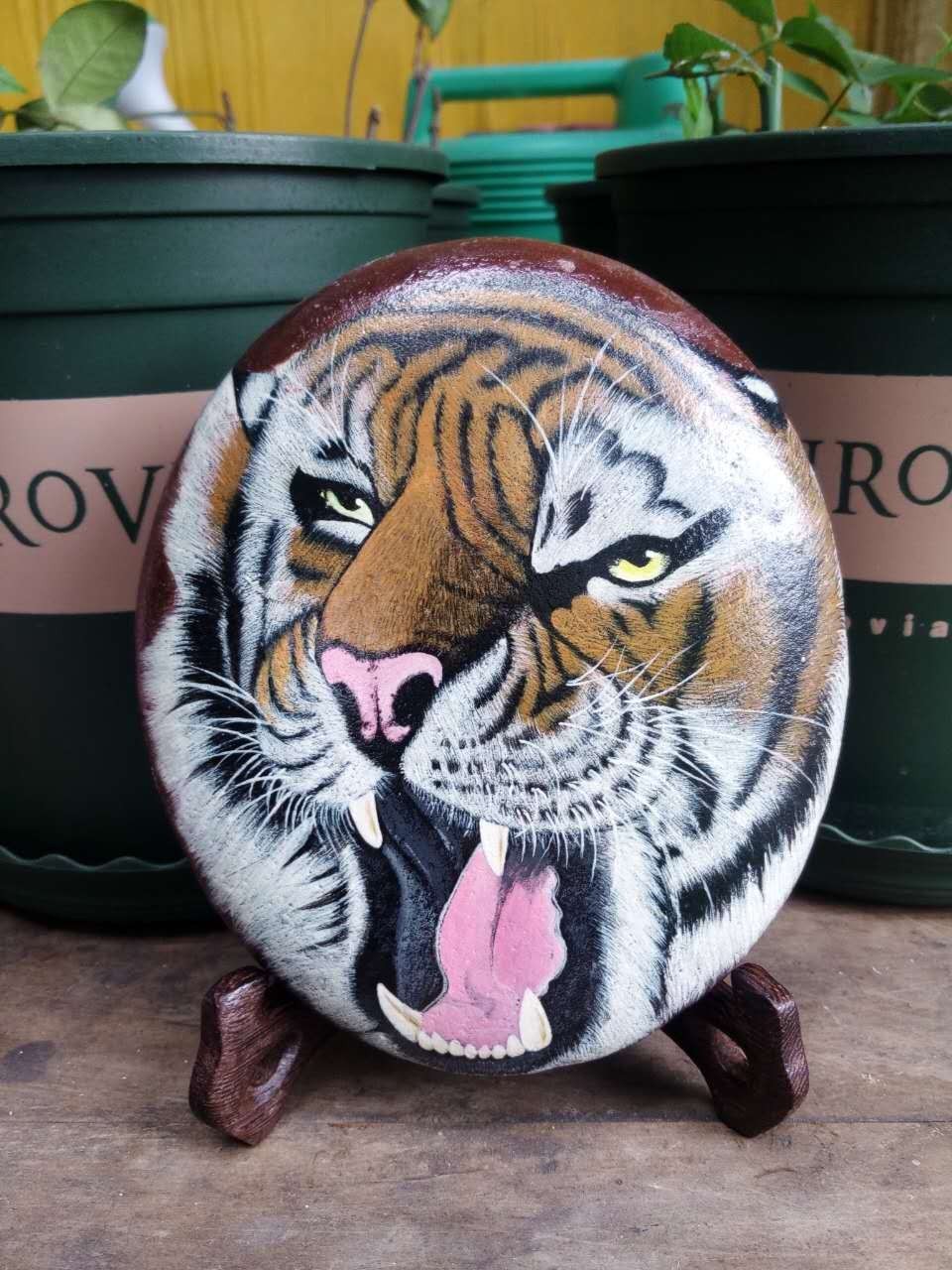 零基础学手绘石头画,手绘之家图片