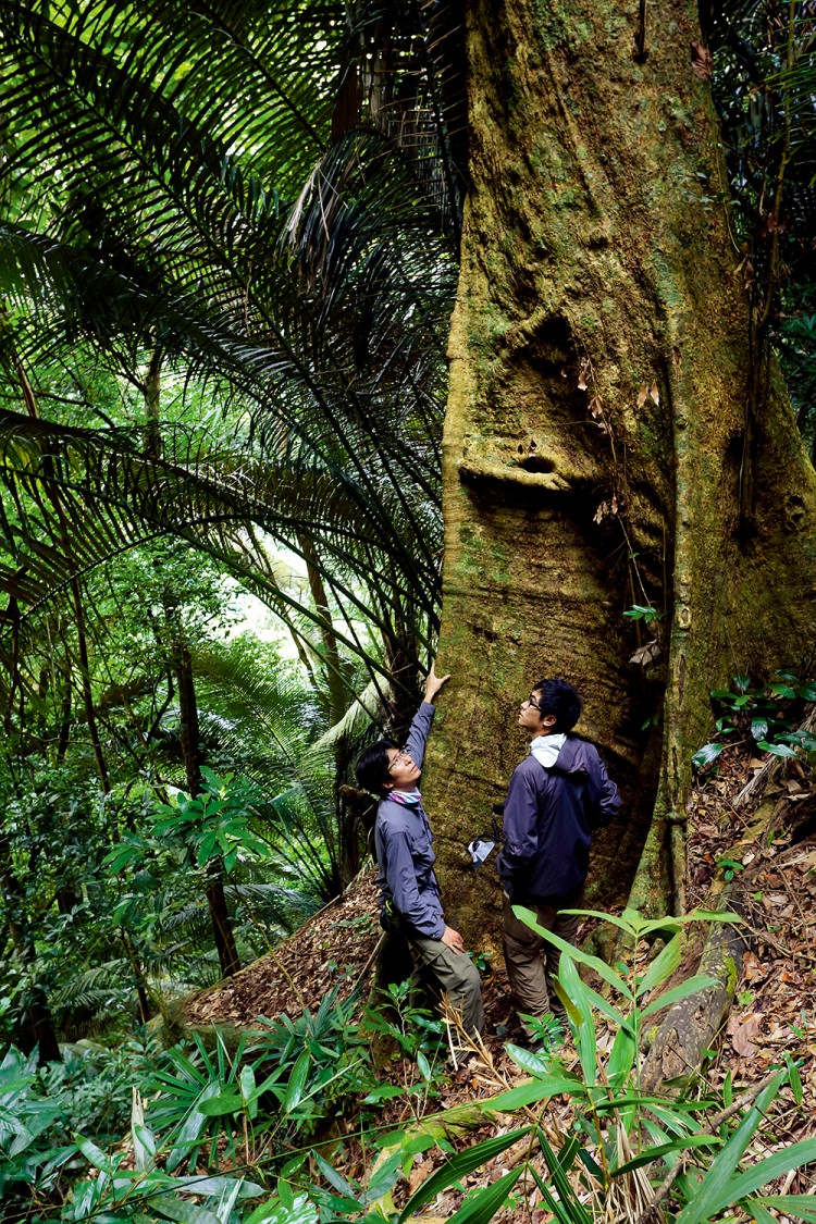 世界物种基因库在什么地方,探秘人类基因