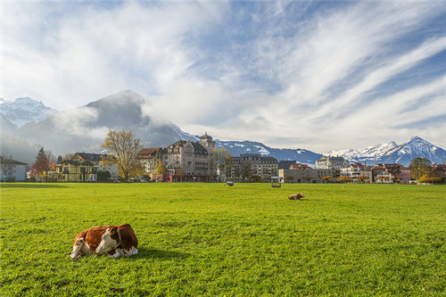 第一次去欧洲旅游指南,初次欧洲旅游攻略