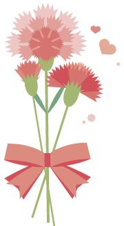 春季美容养生知识,美容养生小知识100个