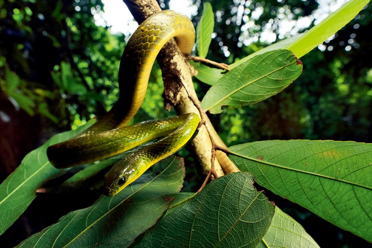 世界物种基因库在什么地方,探秘人类基因