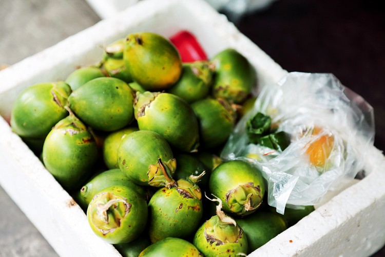 世界物种基因库在什么地方,探秘人类基因