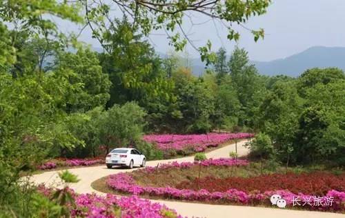 长兴一不小心,湖州长兴成了“中国最美休闲胜地”!