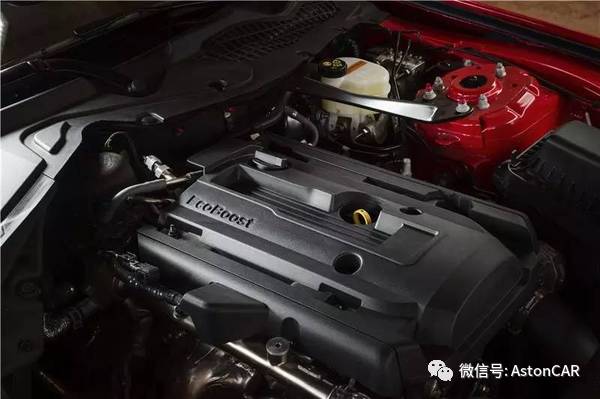 一匹狂奔的野马,一匹狂奔天涯的野马