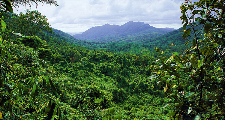 世界物种基因库在什么地方,探秘人类基因
