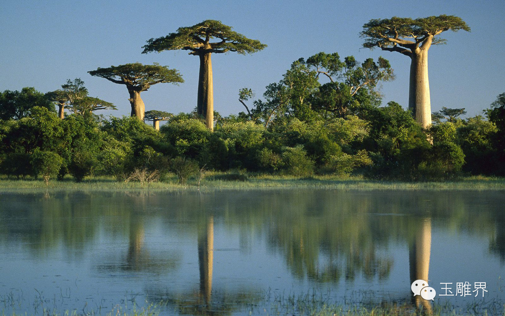 马达加斯加玛瑙的介绍,马达加斯加玛瑙解析
