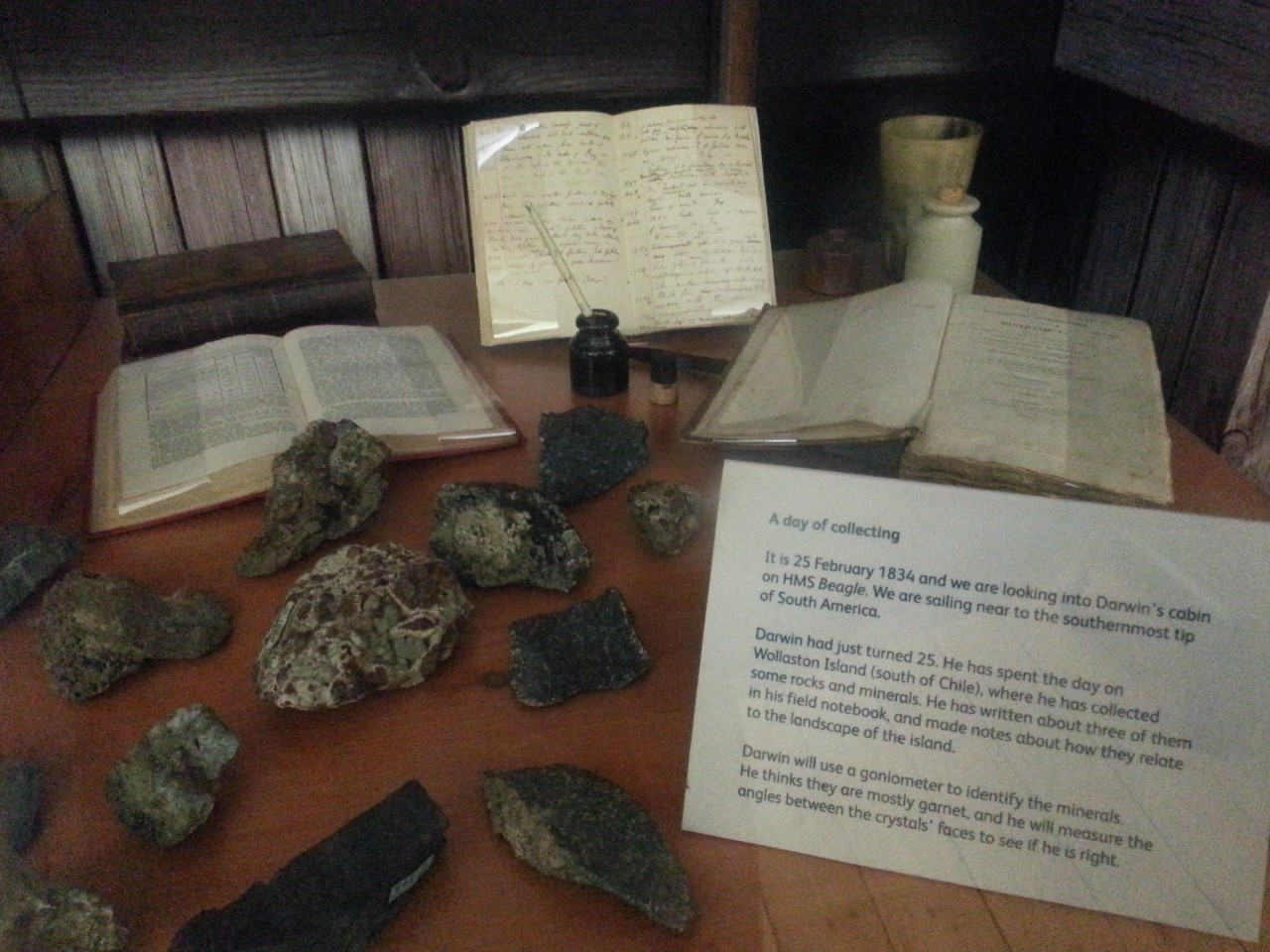 塞奇威克地球科学博物馆,塞奇威克