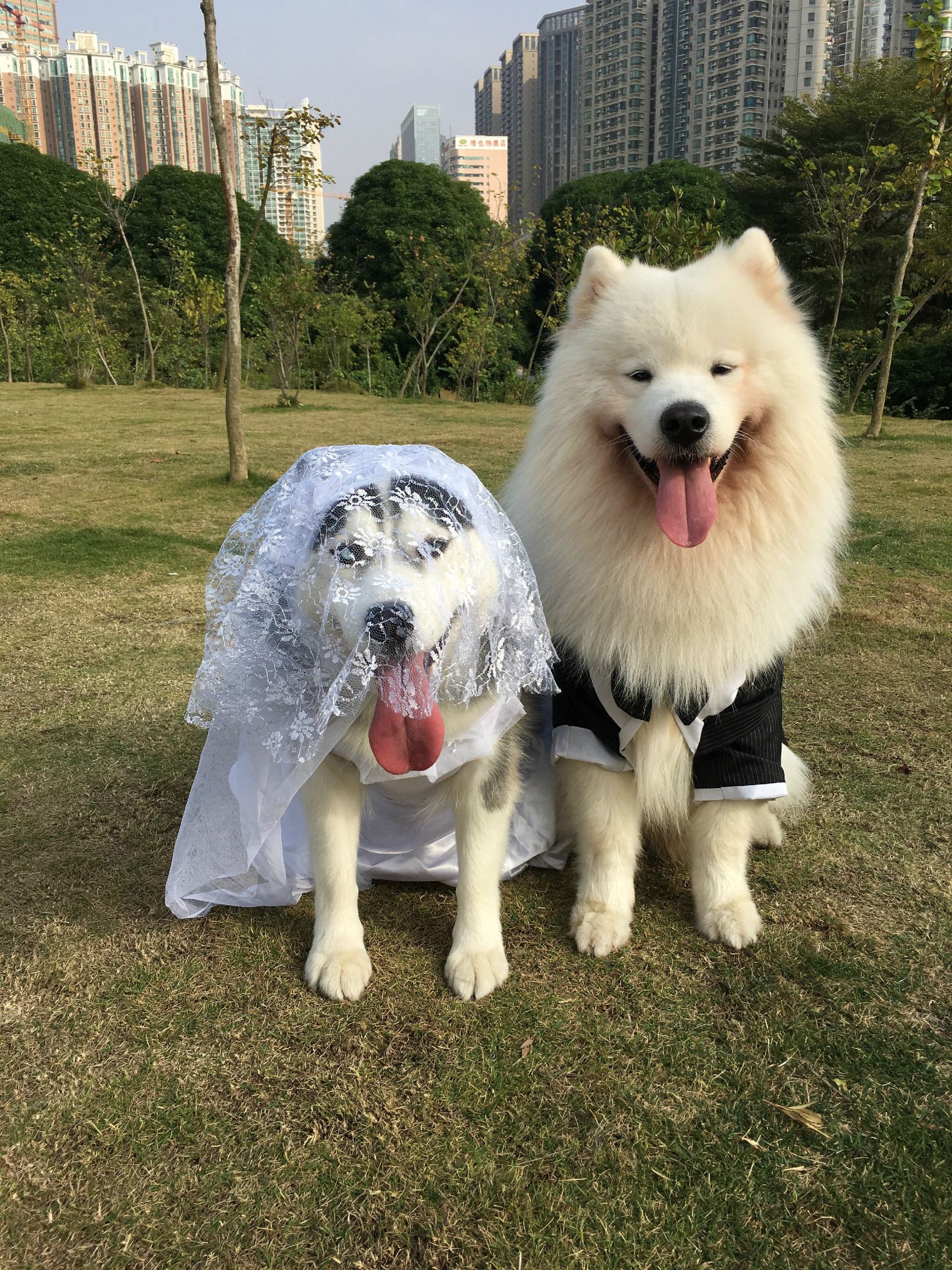 瀵逛笉璧蜂簩鍝堢殑鐪肩,瀵逛笉璧锋垜鐖变綘浜屽搱