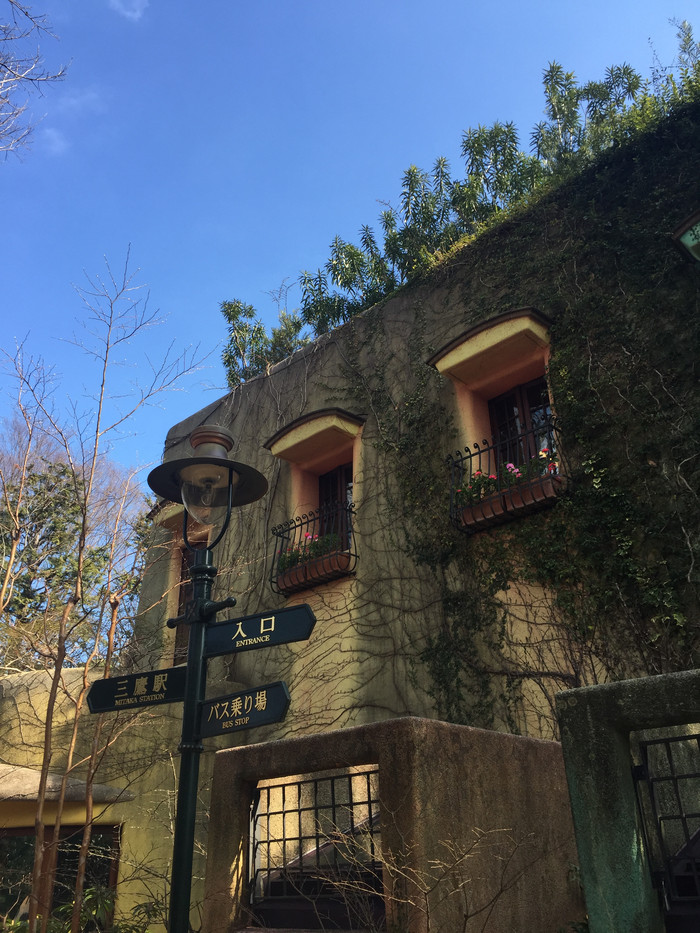 日本的冬日暖阳,日本的冰雪世界