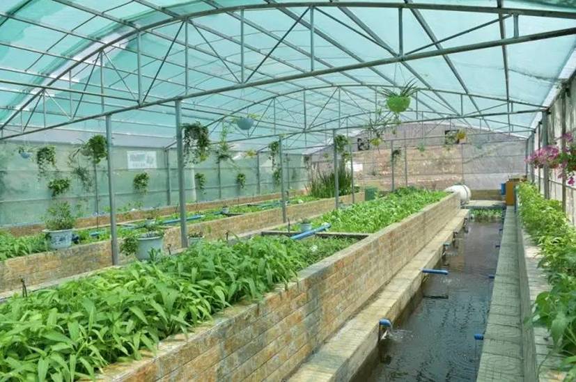 有阳光的日子，都不辜负｜听台商李贤治在川“务农”的“庄园经”