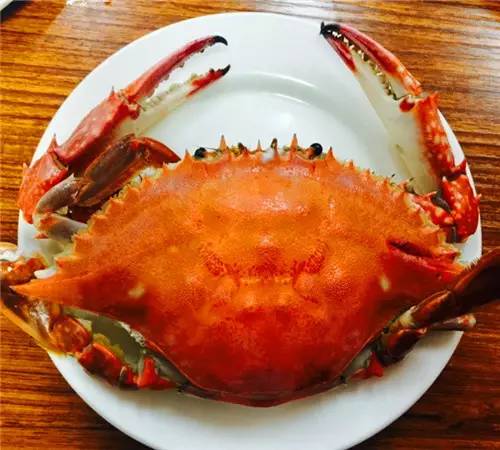 What？！4斤螃蟹里1斤皮筋？！其实咱青岛这6家“正经”蟹店值得一去！