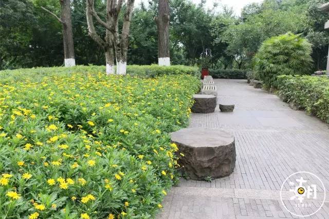 重庆桂花园景点,重庆桂花公园免费