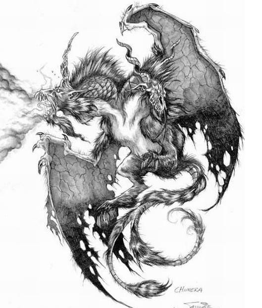 中国男足给大家贺礼,中国男足2022新年祝福视频