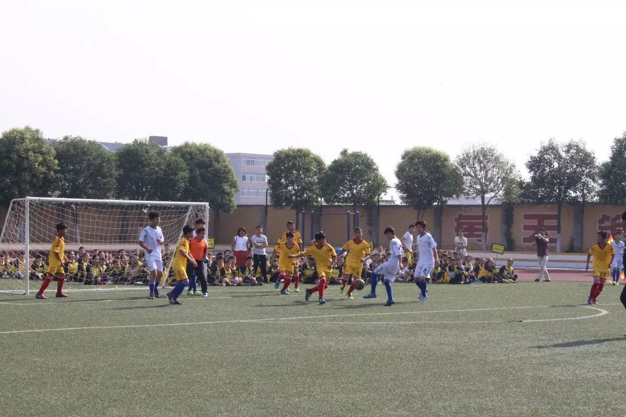 咸阳市渭城区校园足球联赛,临渭区校园足球联盟杯