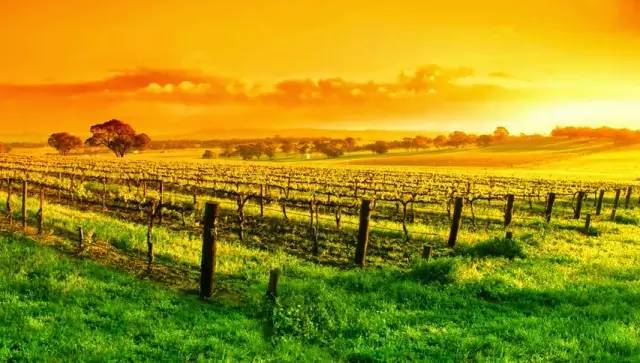 先定一个小目标活下来,先定一个小目标全集