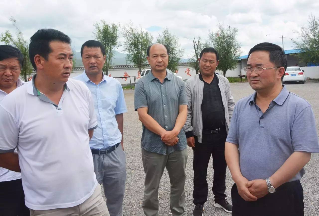 拉市海怎么样,拉市海建议怎么去