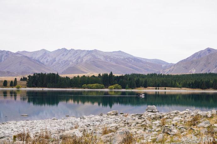新西兰星空小镇最全攻略,新西兰tekapo旅游攻略