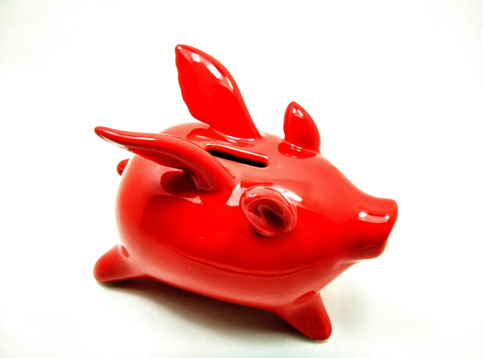 站在风口上猪都能飞电影,站在风口猪也可以飞起来