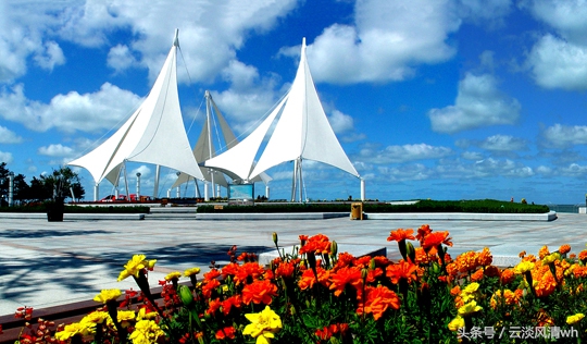 威海林果业的生长情况,威海发展史介绍