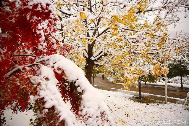 就业率最高的七所院校,潘安湖六所大学