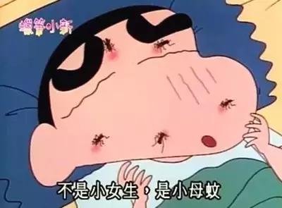 蚊子苍蝇蟑螂有没有办法全部除掉,蚊子苍蝇蚂蚁蟑螂蜈蚣用啥药消灭