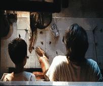 蚊子苍蝇蟑螂有没有办法全部除掉,蚊子苍蝇蚂蚁蟑螂蜈蚣用啥药消灭