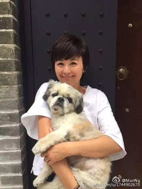 最美童星离婚照片,最美童星离婚事件