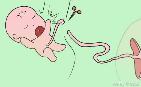 婴儿出生为什么要报几斤几两,宝宝出生几斤几两是在暗示智商