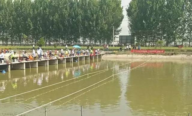 沁阳钓鱼比赛,河南永城垂钓比赛