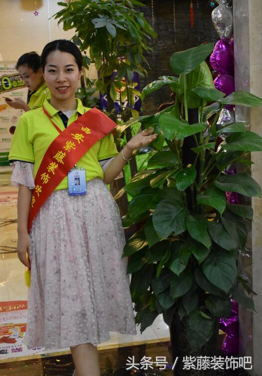 兰州紫藤装饰,西安紫藤装饰地址