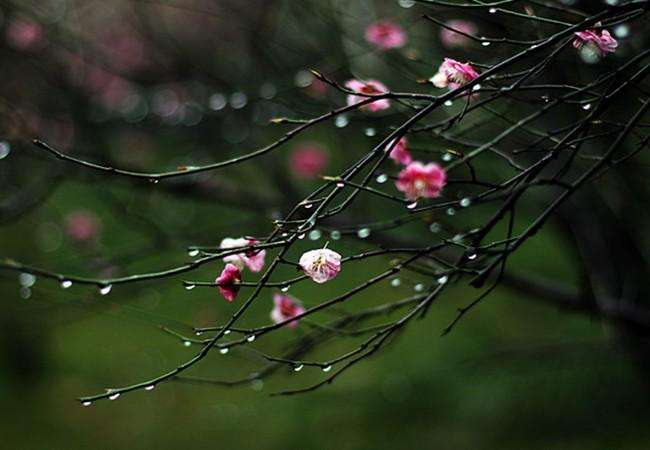 姝h兘閲忛闆ㄤ箣鍚庢湁褰╄櫣,鑳介噺缇庢枃
