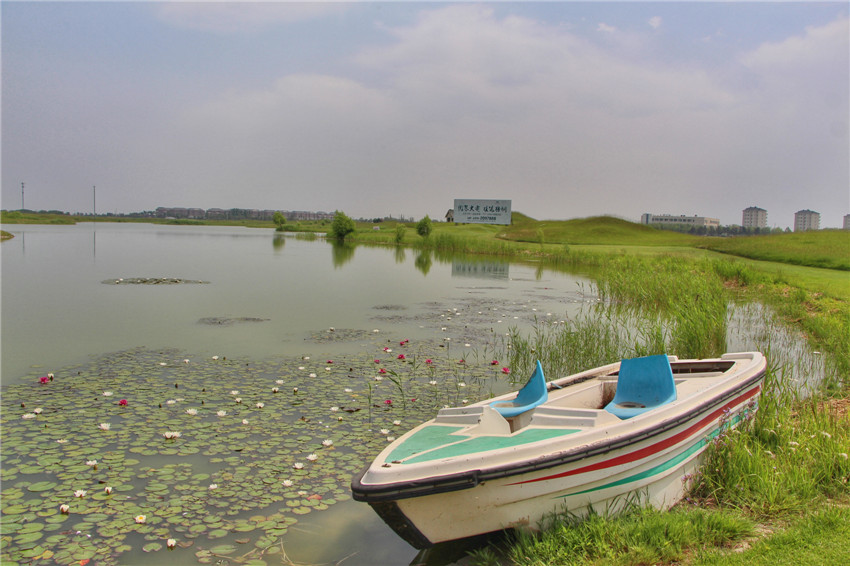 你不曾来过原唱完整版,曹妃甸美景