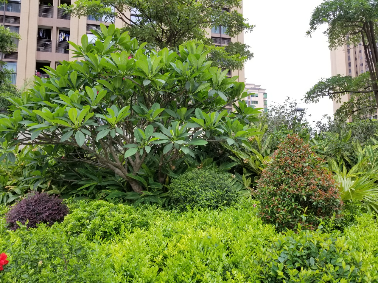 不愧是安卓机皇，三星GalaxyS8+上手一星期体验