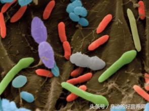 胃酸过少和胃酸过多的症状区别,胃酸过多和胃酸过少的区别